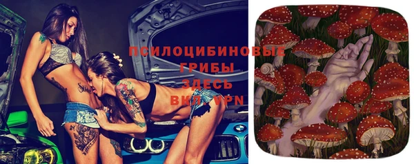 соль ск Алзамай