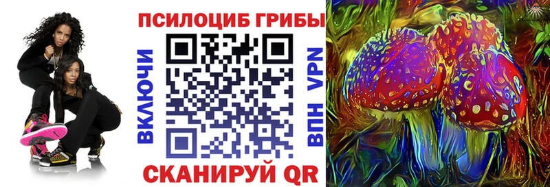 магазин продажи наркотиков  Нижняя Салда  Галлюциногенные грибы Psilocybe 